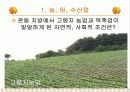 관광자원이 풍부한 관동지방 7페이지