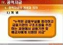 연금, 기금, 공적자금 그 문제점과 개선방안 33페이지