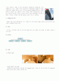 최고급 중저가호텔 서울 이비스호텔의 마케팅전략 분석 3페이지