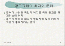 광고심의와 규제 2페이지