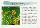 광고심의와 규제 10페이지