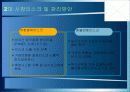 우리은행의 리스크관리 실태분석 12페이지