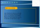 우리은행의 리스크관리 실태분석 13페이지