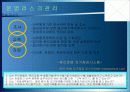우리은행의 리스크관리 실태분석 19페이지