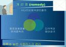 우리은행의 리스크관리 실태분석 29페이지