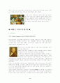 19세기 근대미술(프랑스화가) 9페이지