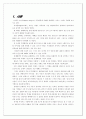 디지털 이미지의 비판적 검토 2페이지