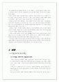 디지털 이미지의 비판적 검토 3페이지