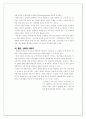 디지털 이미지의 비판적 검토 13페이지