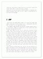 디지털 이미지의 비판적 검토 21페이지