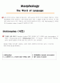 MORPHOLOGY 2페이지