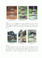 사찰조경 7페이지