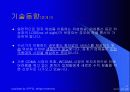 위성 DMB 프리젠테이션 17페이지