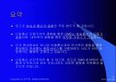 위성 DMB 프리젠테이션 20페이지