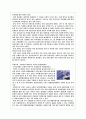 21세기 산업파트너 프랑스 13페이지