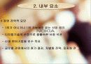 글로벌 마케팅 사례조사 13페이지