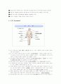 간경화 (Liver Cirrhosis) 8페이지