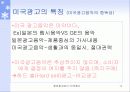 해외광고 연구-미국광고 17페이지