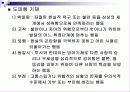 적응과 부적응 13페이지