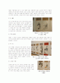 서예전시 관람기 4페이지