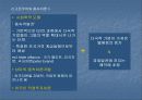 동아시아 신흥공업국의 경제발전에 대한 연구 18페이지