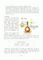 식물의 수분방법·과정.. 6페이지