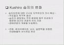 생태관광의 현황과 개선방향 7페이지