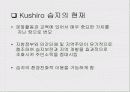 생태관광의 현황과 개선방향 8페이지