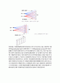 마이크로파 실험 11페이지
