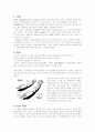 다발성 경화증 ( 정의 ,원인 ,임상양상 ,치료 ,재활상담및 관리) 2페이지