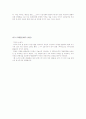 마크 트웨인  비평 3페이지