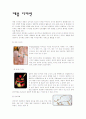 디자인이란 생활디지인 시각디자인 포스터디자인 제품디자인 환경디자인 5페이지