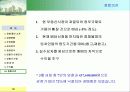 부동산 경매 컨설팅 보고서 18페이지