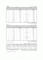 차이나쇼크의 영향과 대응 8페이지