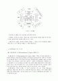 Bronfenbrenner의 생태학적 접근 6페이지