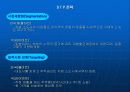 [파워포인트][프로젝트] 할인점 국내시장 진출에 따른 국내 유통업계 대응방안 16페이지