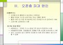 오존층 파괴와 몬트리올의정서 8페이지
