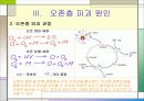 오존층 파괴와 몬트리올의정서 9페이지