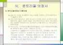 오존층 파괴와 몬트리올의정서 11페이지