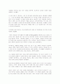 히딩크 연구 46페이지