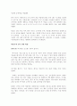 히딩크 연구 47페이지