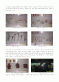 부산의 문화제 답사 및 기행 15페이지