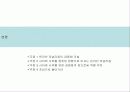 사이버 시위의 문제점과 올바른 사이버 시위를 위한 제언 10페이지