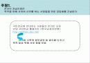 사이버 시위의 문제점과 올바른 사이버 시위를 위한 제언 13페이지