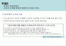 사이버 시위의 문제점과 올바른 사이버 시위를 위한 제언 14페이지