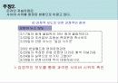사이버 시위의 문제점과 올바른 사이버 시위를 위한 제언 17페이지