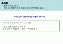 사이버 시위의 문제점과 올바른 사이버 시위를 위한 제언 19페이지