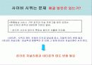 사이버 시위의 문제점과 올바른 사이버 시위를 위한 제언 20페이지