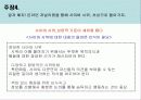 사이버 시위의 문제점과 올바른 사이버 시위를 위한 제언 21페이지
