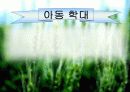 아동학대 1페이지